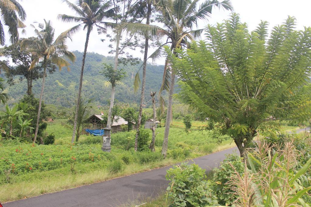 Lila Stana - Sidemen Homestay Exterior photo